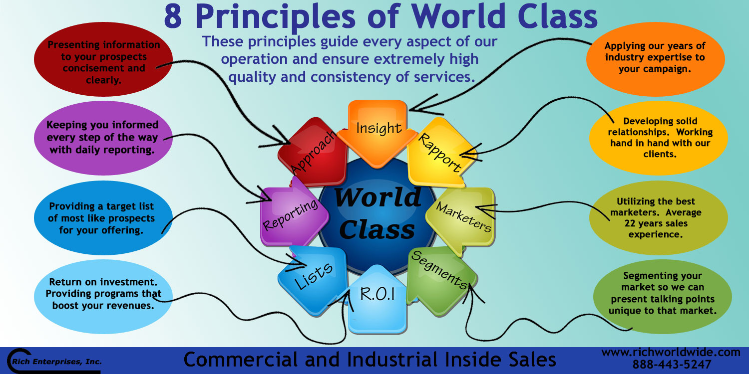 Industrial Inside Sales Principles of World Class Services Infographic
